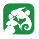 imgi_32_hifg-removebg-preview_edited
